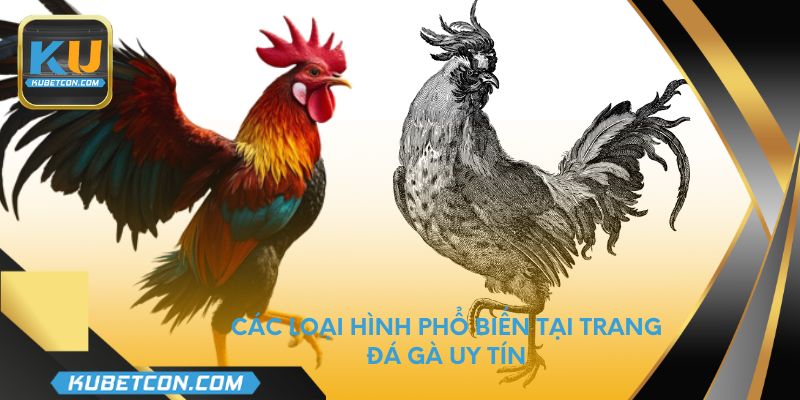 Các loại hình phổ biến tại trang đá gà uy tín
