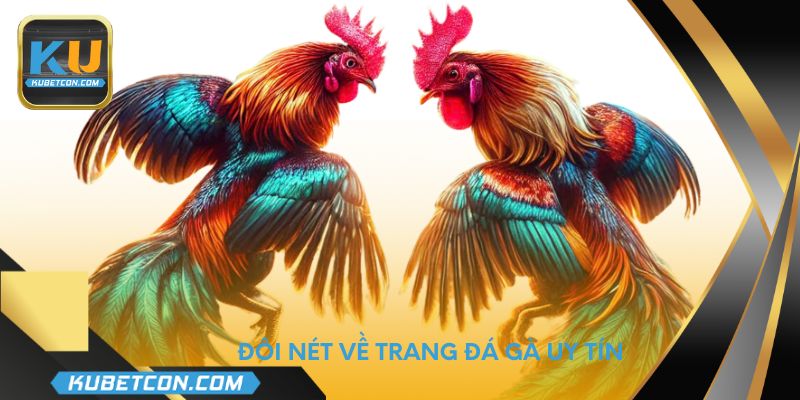 Đôi nét về trang đá gà uy tín